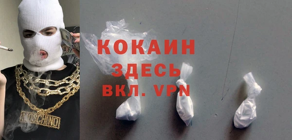 индика Армянск