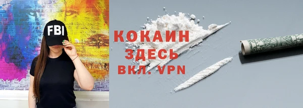 индика Армянск