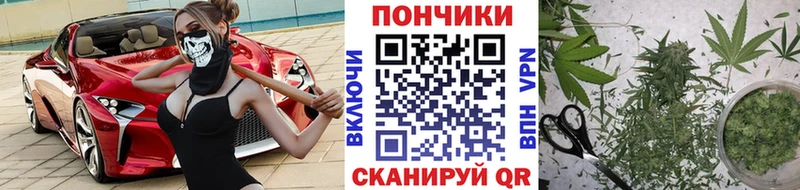 Конопля Ganja Горно-Алтайск